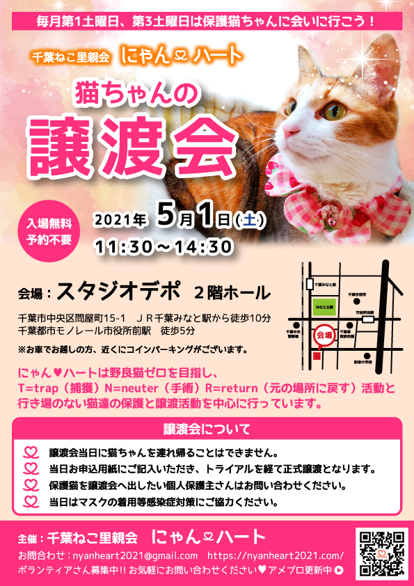 21年５月１日 千葉ねこ里親会実施予定 千葉市の動物病院 あいペットクリニック稲毛獣医科